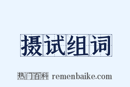 摄试组词是什么意思的图片